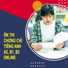 b1 online